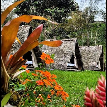 Bed and Breakfast Rancho Porvenir Мокоа Экстерьер фото