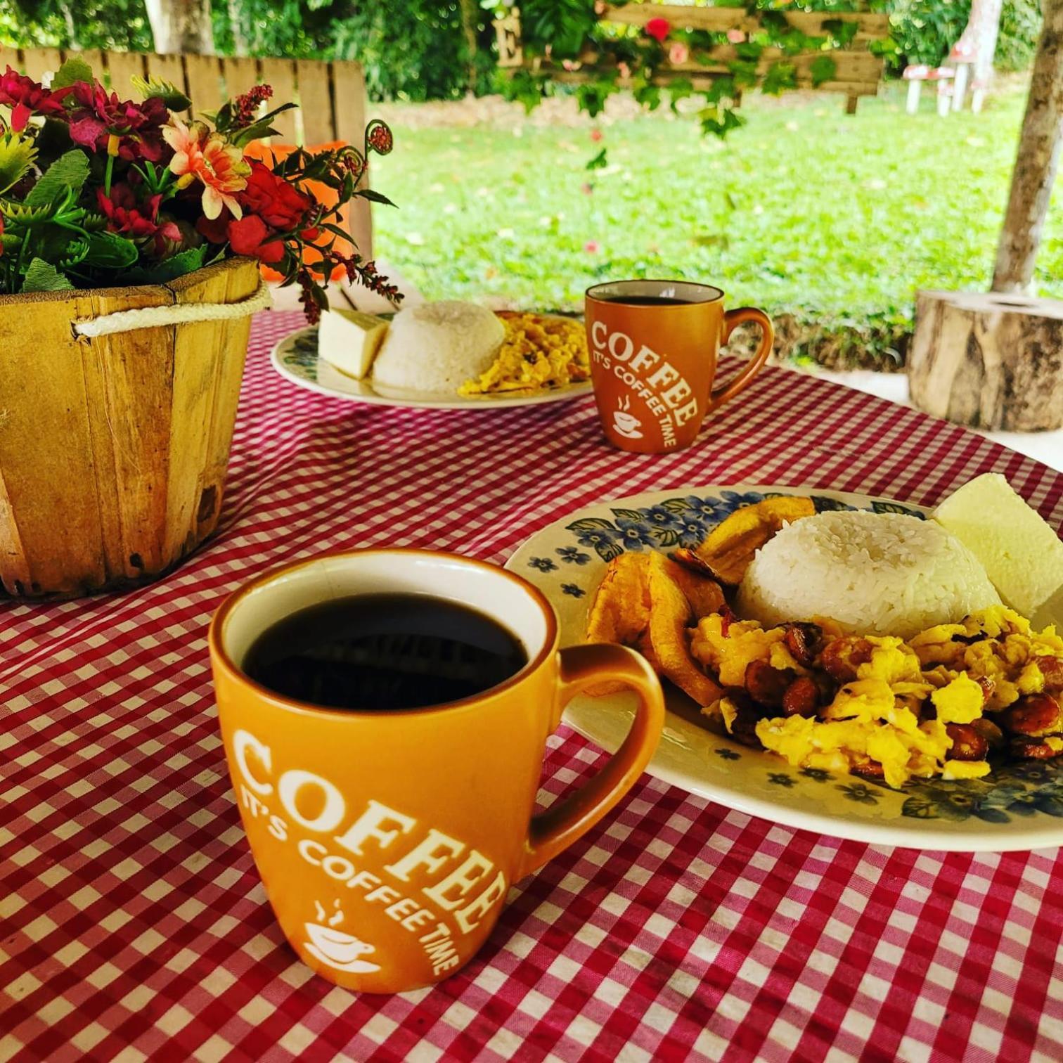 Bed and Breakfast Rancho Porvenir Мокоа Экстерьер фото