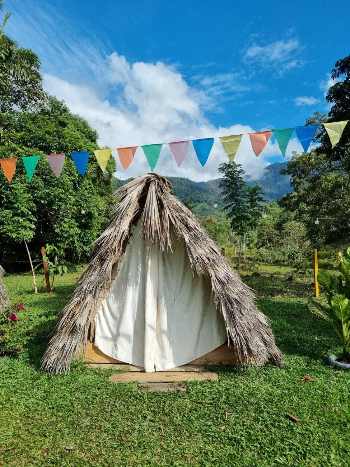 Bed and Breakfast Rancho Porvenir Мокоа Экстерьер фото