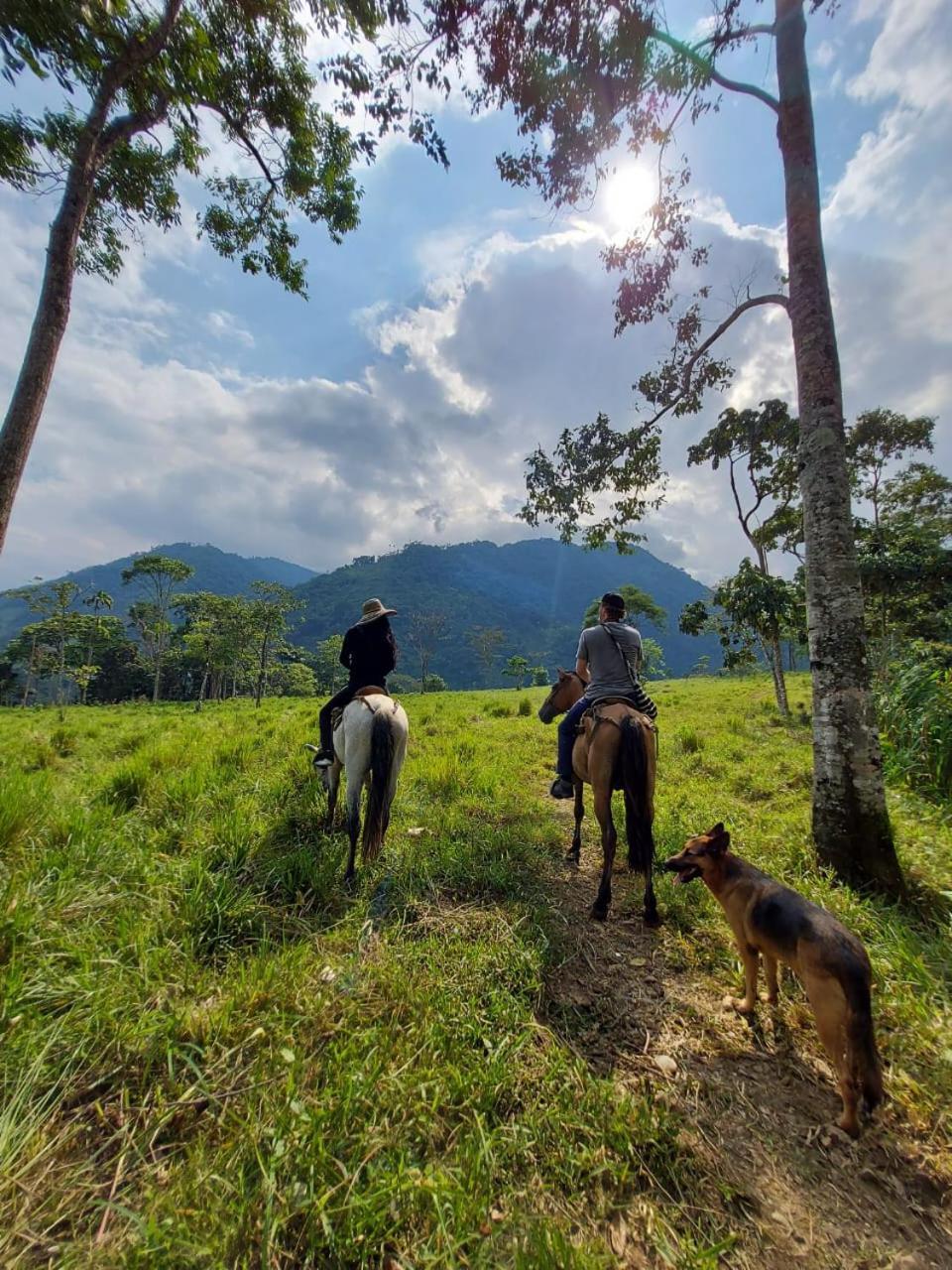 Bed and Breakfast Rancho Porvenir Мокоа Экстерьер фото