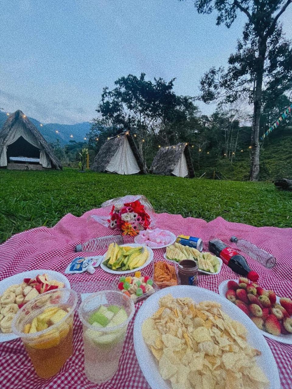 Bed and Breakfast Rancho Porvenir Мокоа Экстерьер фото